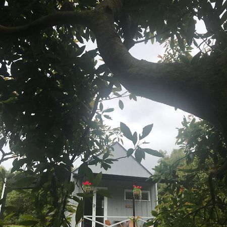 Paradise Grove وانغاماتا المظهر الخارجي الصورة