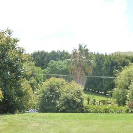 Paradise Grove وانغاماتا المظهر الخارجي الصورة