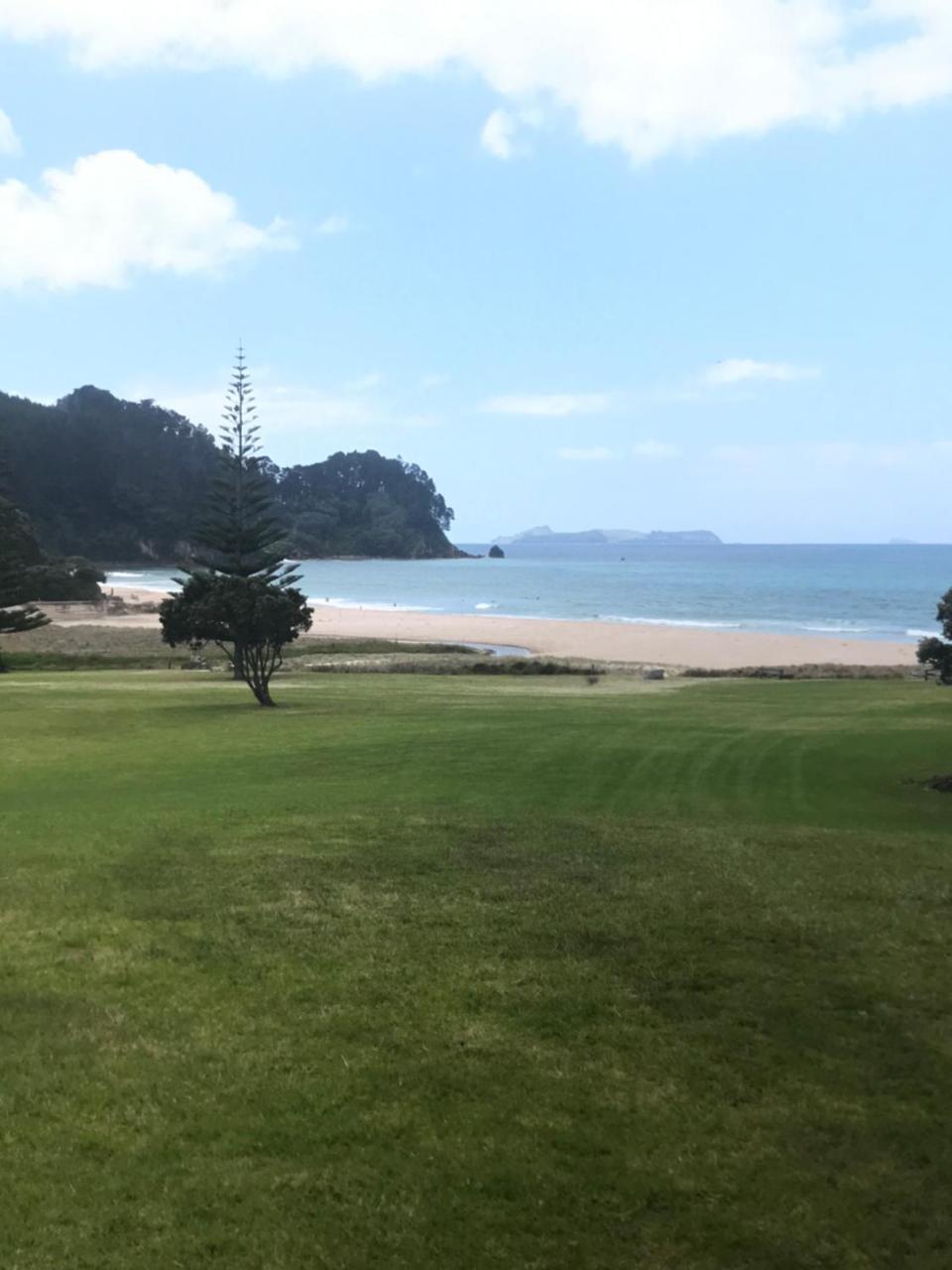 Paradise Grove وانغاماتا المظهر الخارجي الصورة