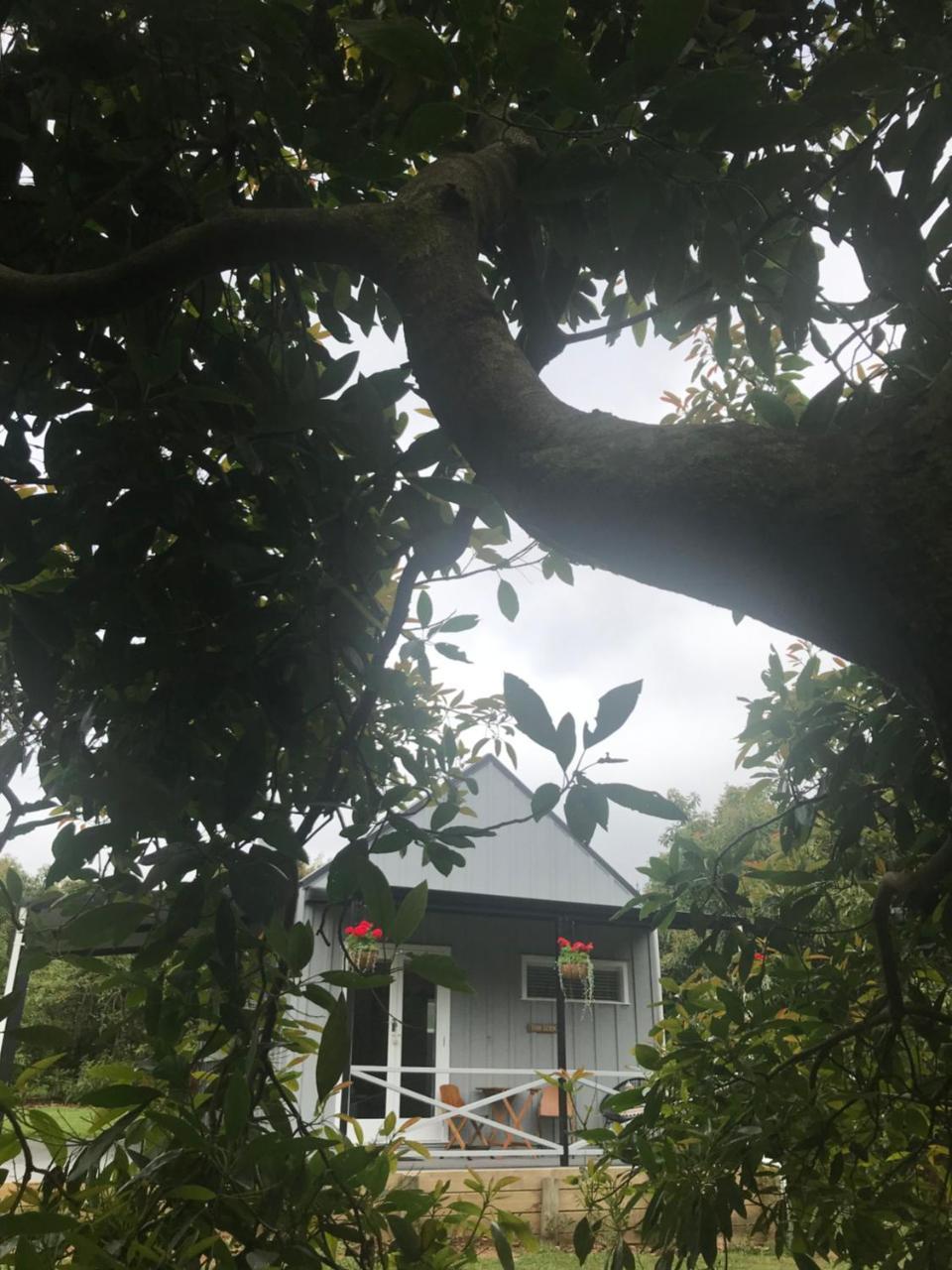 Paradise Grove وانغاماتا المظهر الخارجي الصورة