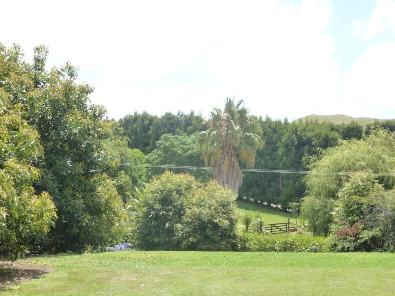 Paradise Grove وانغاماتا المظهر الخارجي الصورة
