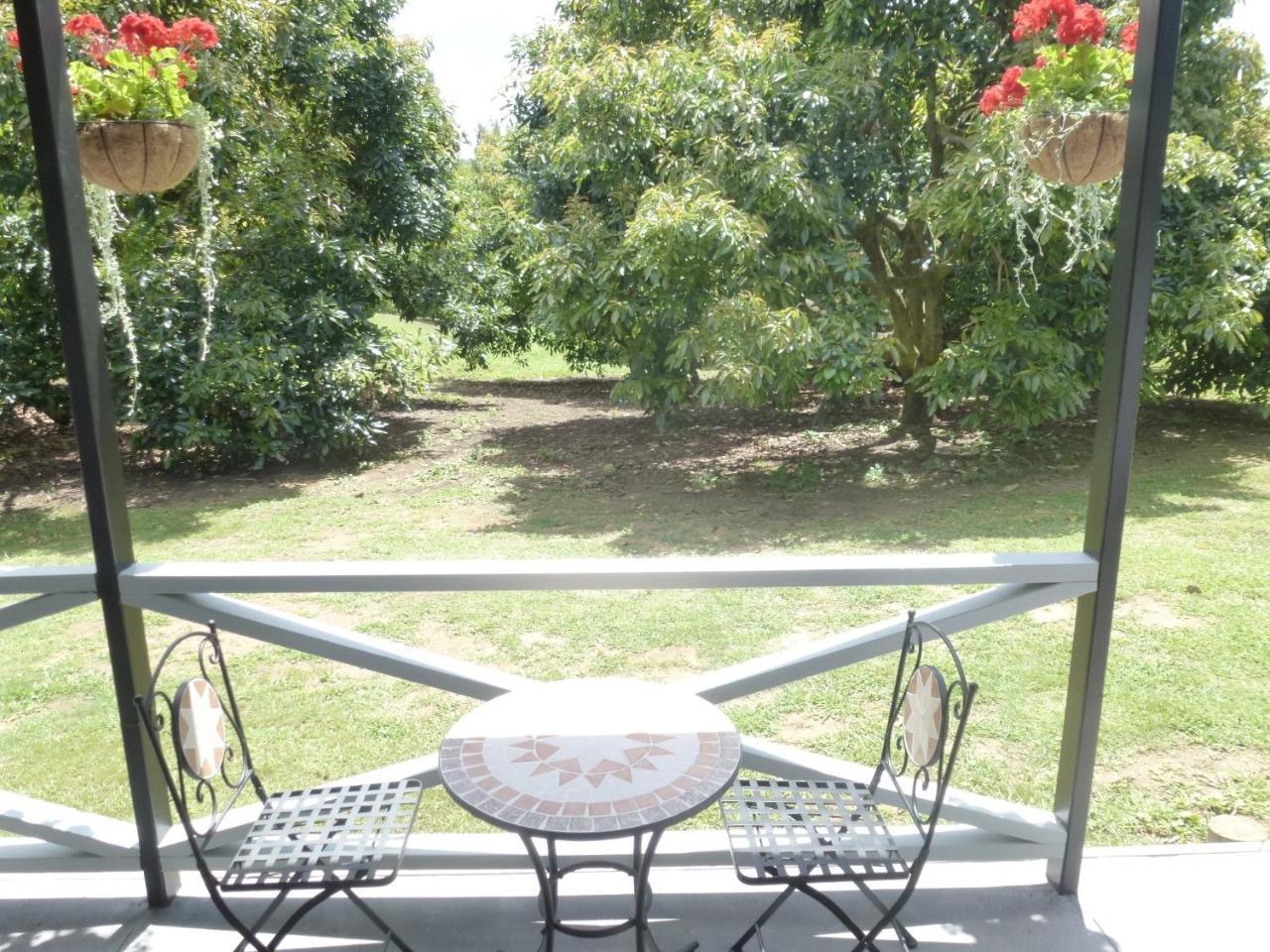 Paradise Grove وانغاماتا المظهر الخارجي الصورة